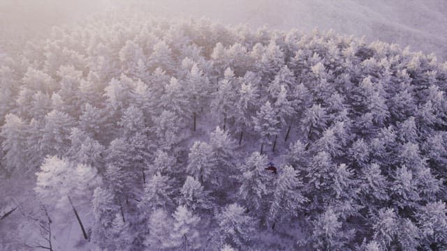 Mountains Covered White with Snow at Dawn