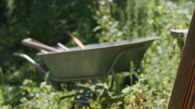 A wheelbarrow in a lush green garden