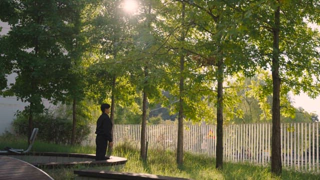 Person standing in a sunlit park