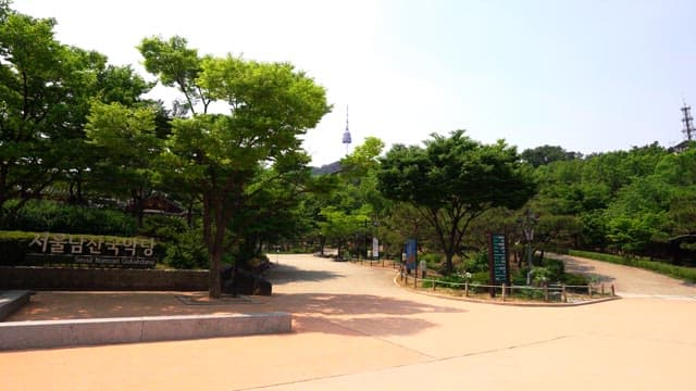 Park in Seoul with lots of trees on a sunny day