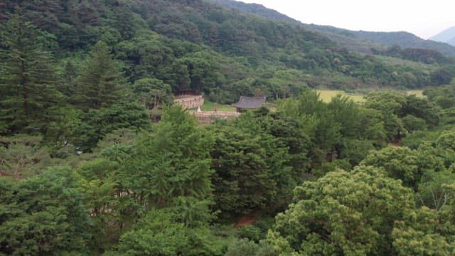 Mountain fortress, a traditional building nestled in a dense forest