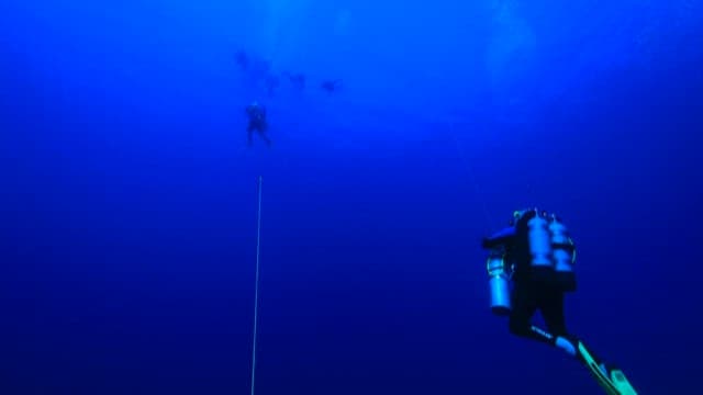 Divers going up to the surface