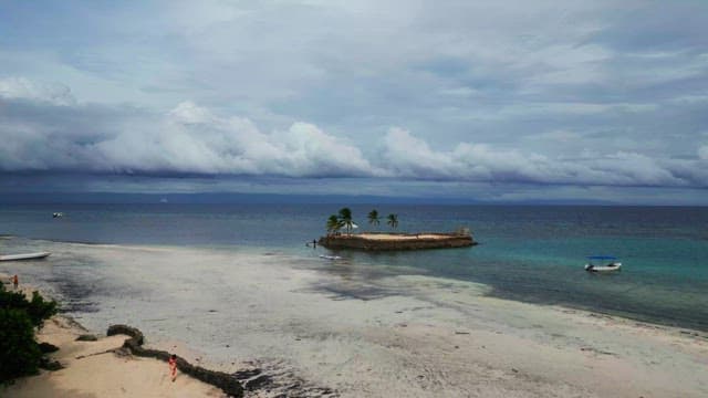 Small island with palm trees in the sea