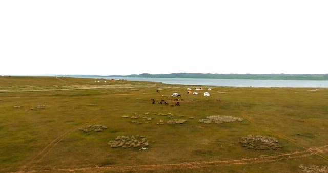 Vast grassland with grazing horses