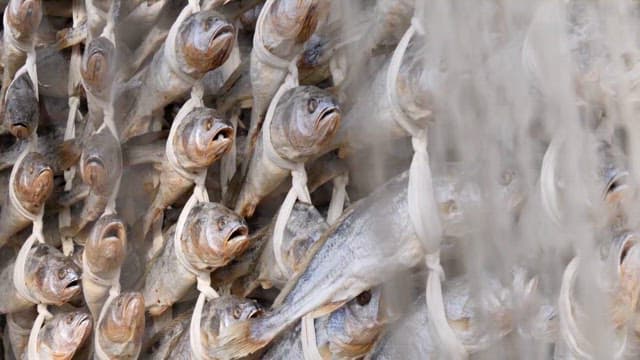 Barley gulbi hanging outdoors to dry