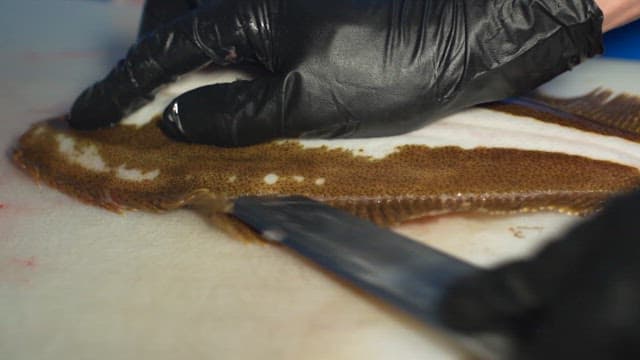 Raw Fish, Neatly Sliced ​​with Expert Skill