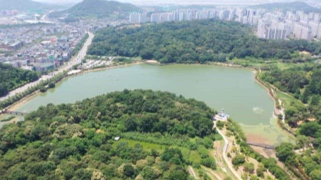 Lush Green Park Surrounded by an Urban Area with Tall Buildings