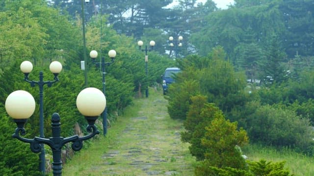 Road lined with streetlights and lush greenery leading to a blue vehicle