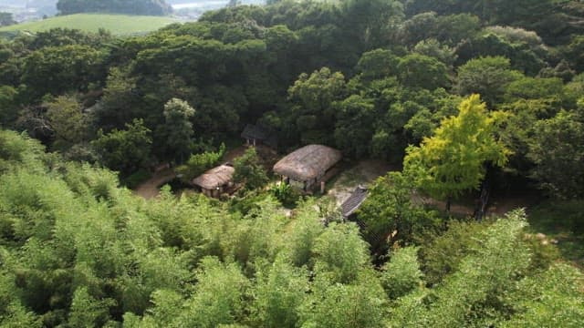 Thatched houses,the traditional Korean houses surrounded by lush forest