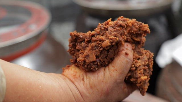 Hand holding a chunk of Korean fermented soybean paste