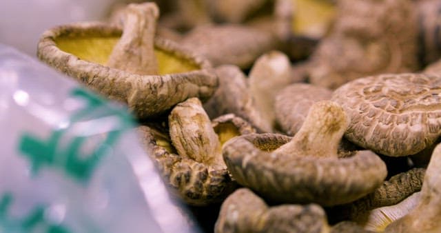 Pile of Fresh Shiitake Mushrooms