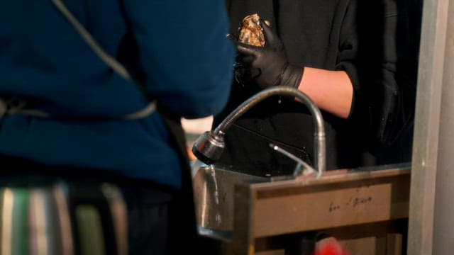 Cleaning oysters at a sink