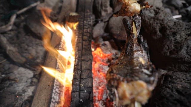 Fish grilled over a wood-fired bonfire