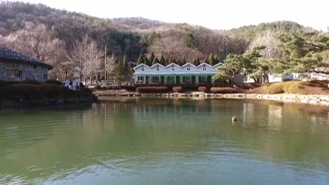 Tranquil Lakeside Retreat with Greenery