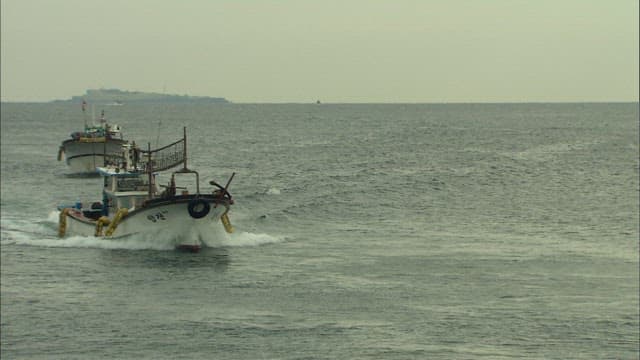 Fishing Boats Navigating Near the Shore