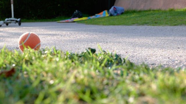 Grassy path with bright orange tennis bal