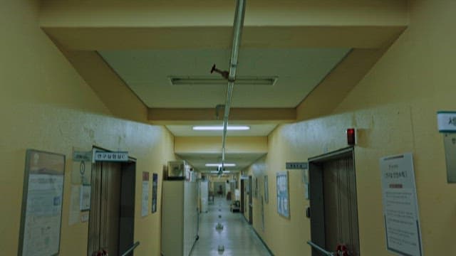 Lonely and Gloomy Hallway of University in Night