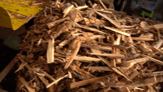 Pile of chopped wood pieces