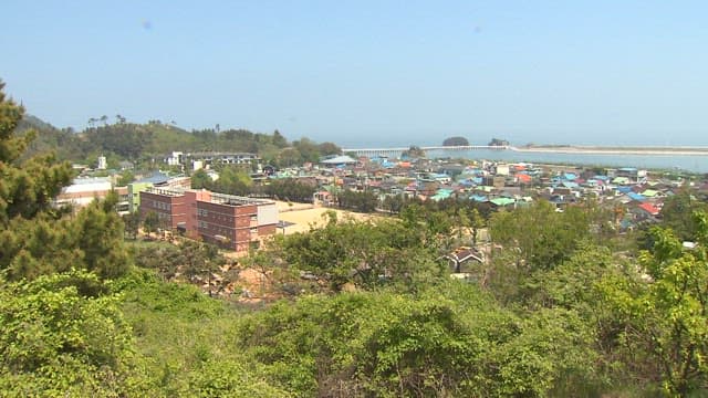 Coastal Village with Greenery and Buildings