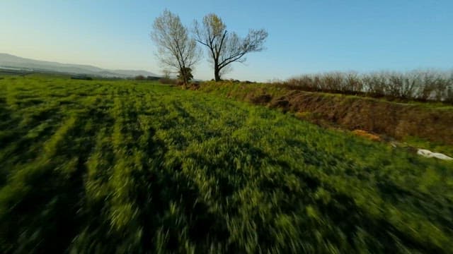 Countryside Road Surrounded by Vast and Green Nature