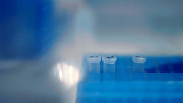 scientist handling test tubes in a lab