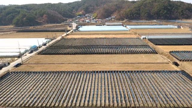 Rural area with fields and greenhouses spread out