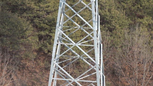 Transmission tower in a forested area with clear skies