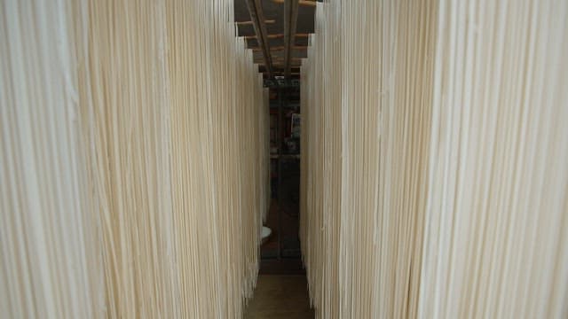Rows of noodles hanging to dry in a factory