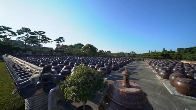 Traditional Korean Jars Displayed Frontyard