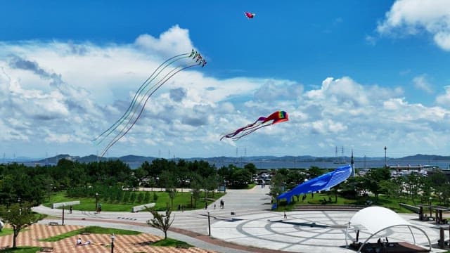 Kites Flying in a Spacious Park with Cloudy Skies
