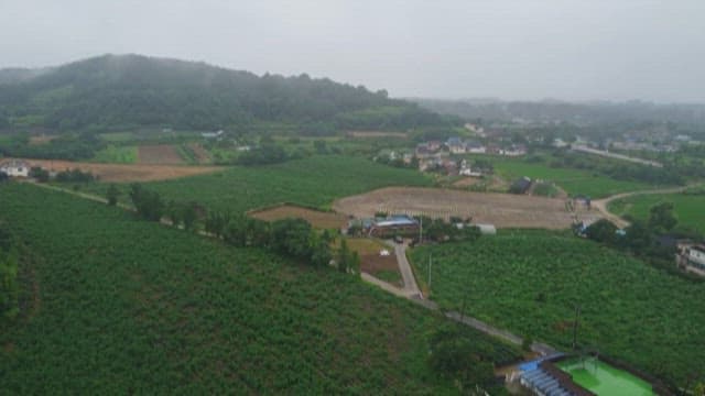 Overlook of a Rural Village Amidst Farmlands