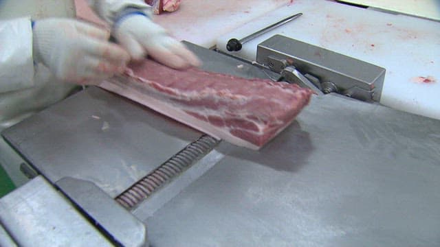 Machine to separate skin from pork