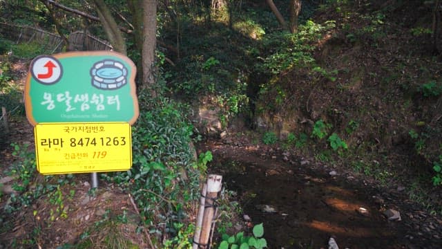 Ongdalsaem Shelter sign by a forest trail with lush greenery