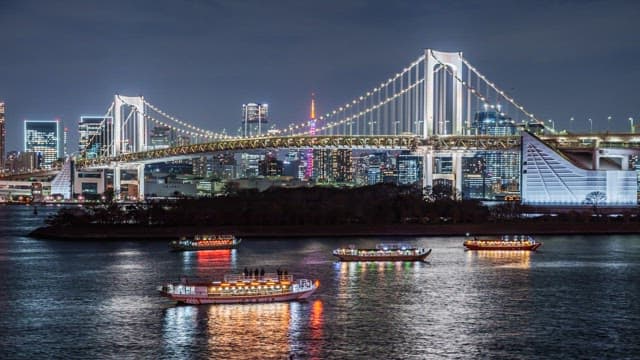 Illuminated bridge and city skyline at night