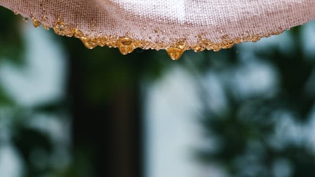 Sticky Honey Driping from a Bee House