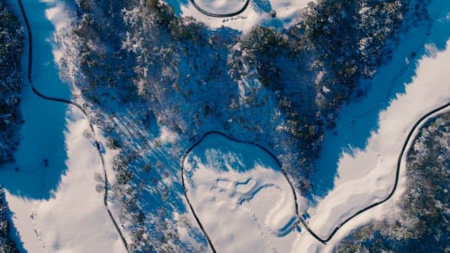 Winter Landscape with Snow-Covered Trees