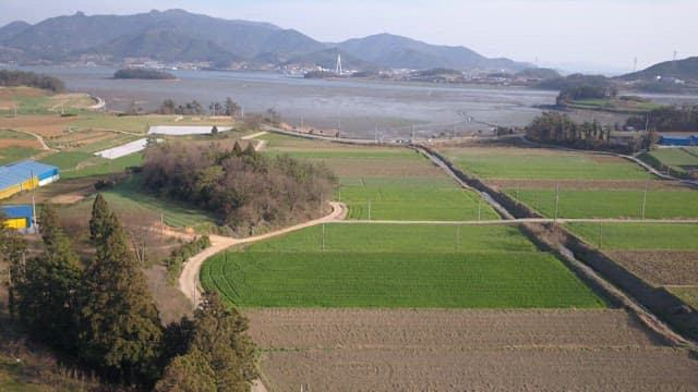 Expansive farmland with distant mountains