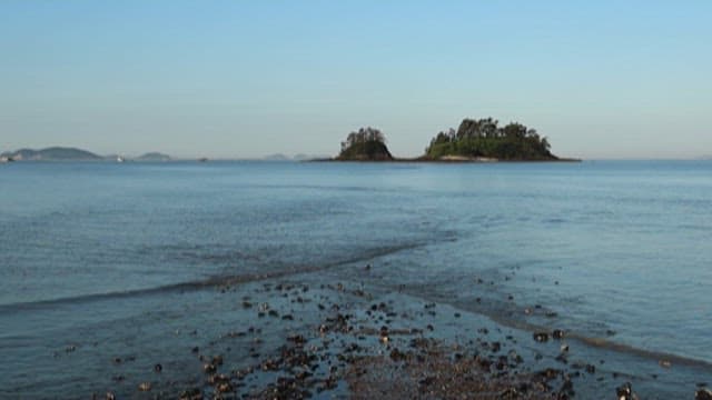 Serene Seashore with Distant Islands