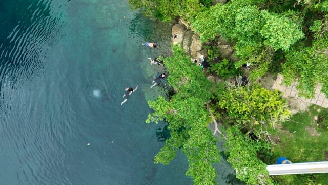 Dense forest surrounding the Blue Hole with people enjoy their leisure time