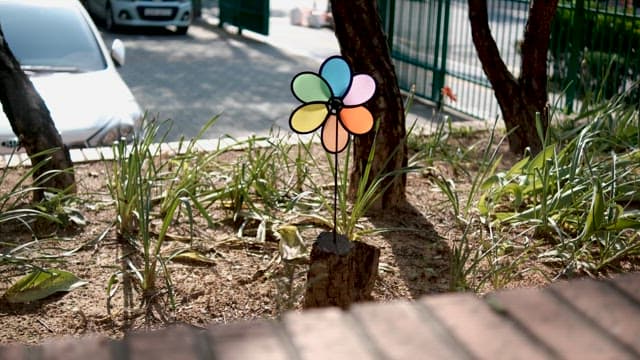 Small Pinwheel Spinning in Urban Garden