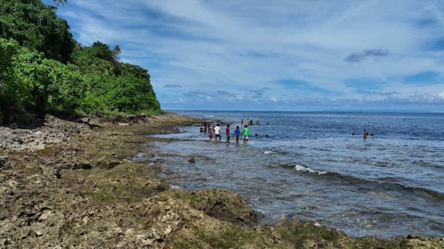People enjoying the beach near a lush forest
