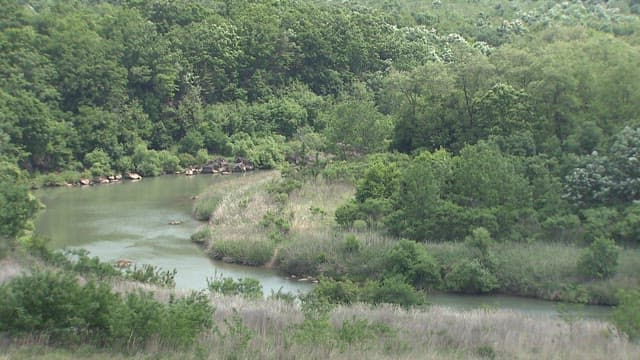 Tranquil Riverside Surrounded by Greenery