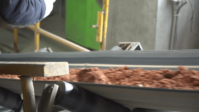 Worker inspecting soil on conveyor
