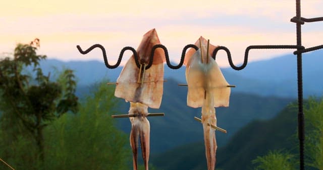 Dried Squid Hanging with Mountain Backdrop
