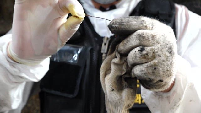 Technician in protective gear examining wire closely