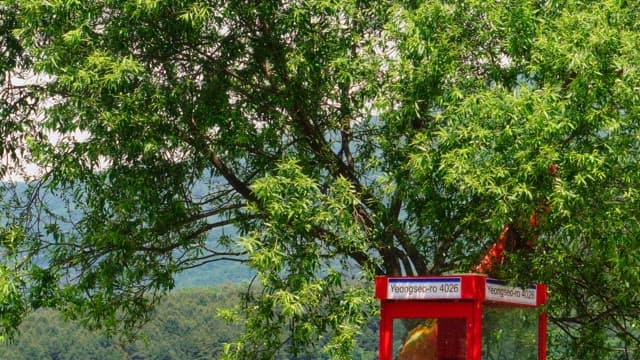 Red phone booth next to a lush tree with mountains in the background