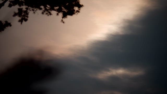Sunset in the Clouds Seen Between Tree Branches