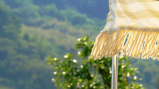 White fringed canopy swaying in the breeze