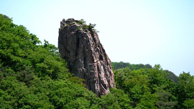 Large rock formation surrounded by lush green forest in mountain