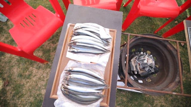 Fresh saury ready for grilling beside a charcoal grill